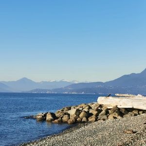 Meet your Posher, Saad